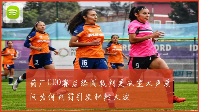 药厂CEO赛后怒闯裁判更衣室大声质问为何判罚引发轩然大波