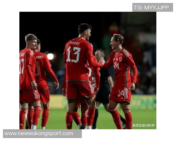 世欧预赛地面对抗表现出色球员榜单揭晓多库领衔克瓦拉茨赫利亚与布拉德利紧随其后